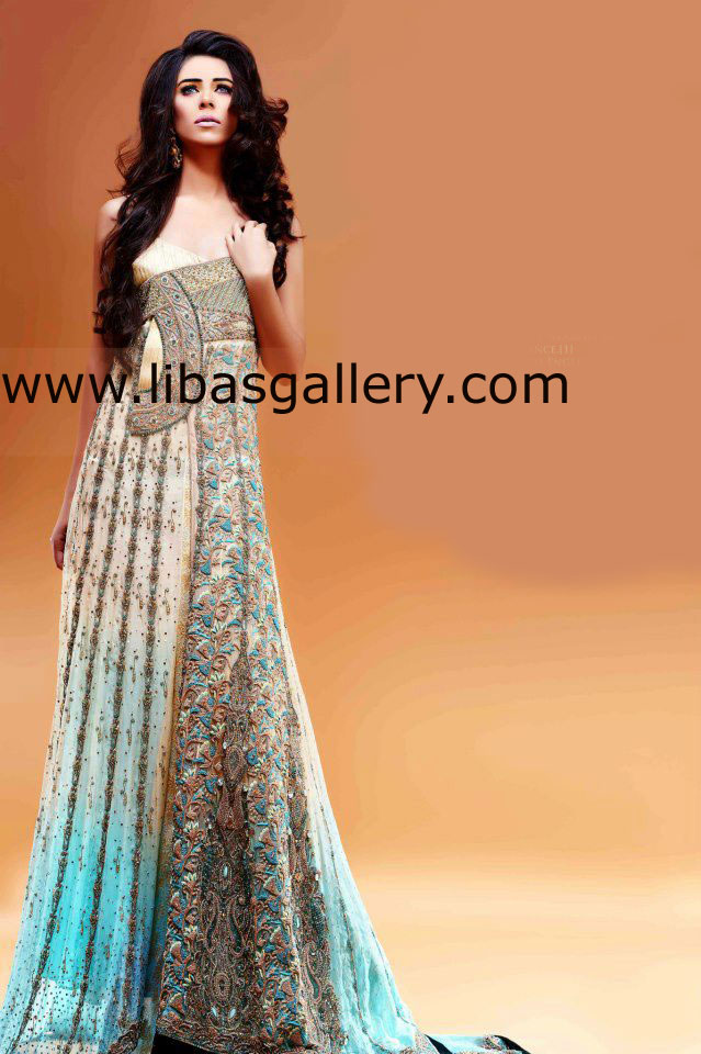 Pakistani Bridal Dresses 2014 Back